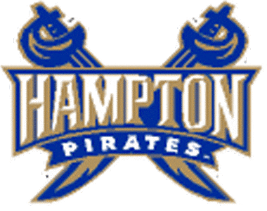 Hampton Pirates 2002-2006 Secondary Logo diy DTF decal sticker